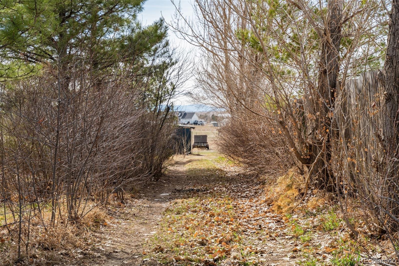 MLS Image #46 for 44626  lariat trail,elizabeth, Colorado