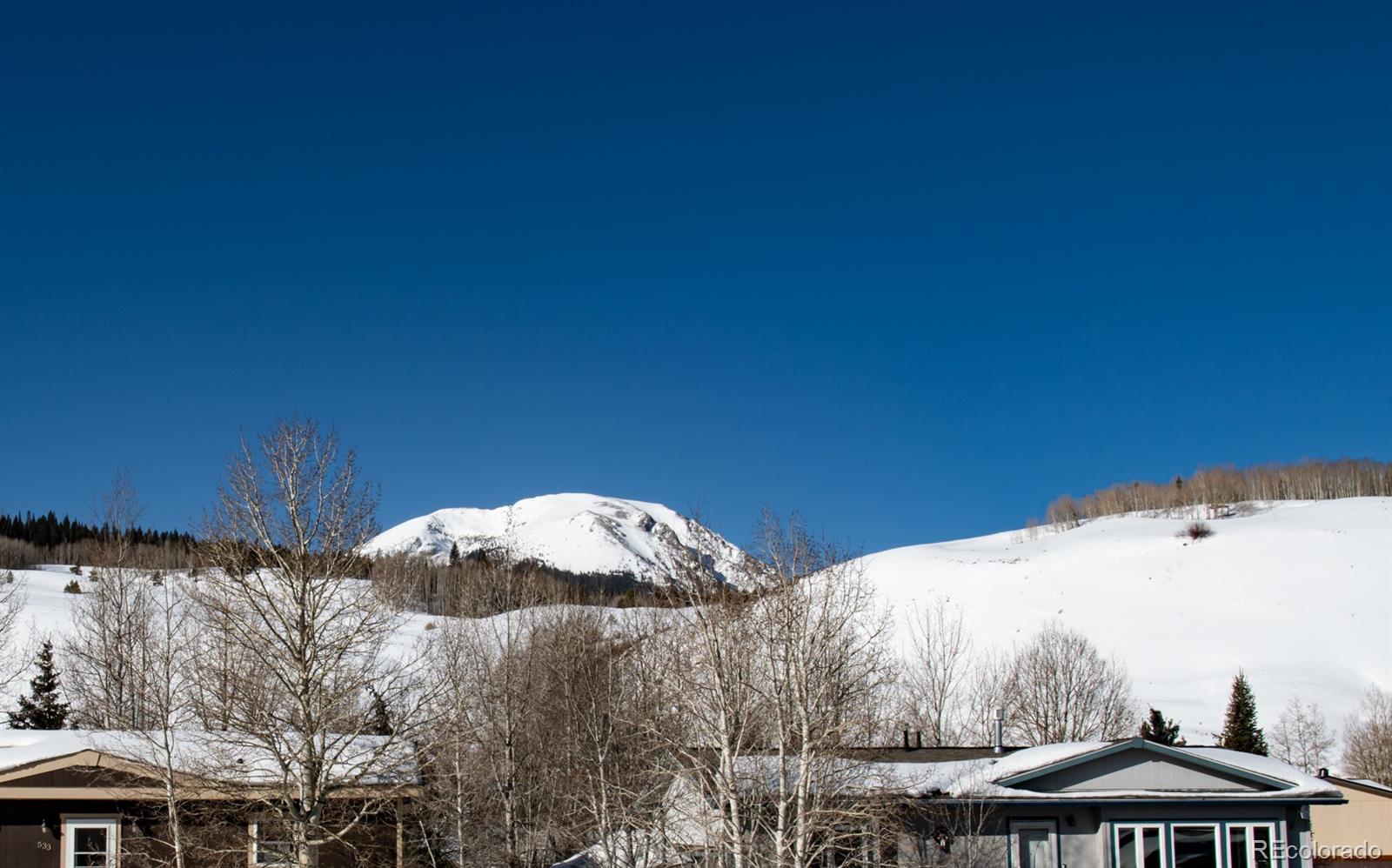 MLS Image #9 for 522  polar court,silverthorne, Colorado