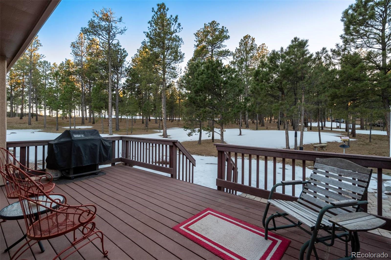 MLS Image #41 for 14954  snowy pine point,colorado springs, Colorado