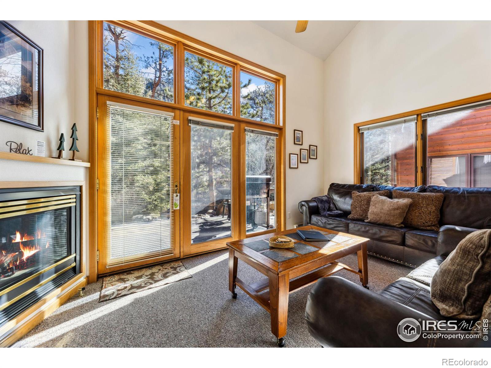 MLS Image #10 for 2120  fall river road,estes park, Colorado