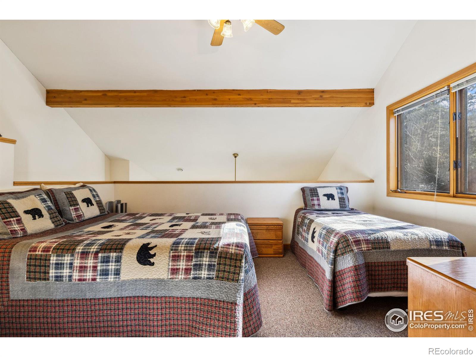 MLS Image #22 for 2120  fall river road,estes park, Colorado