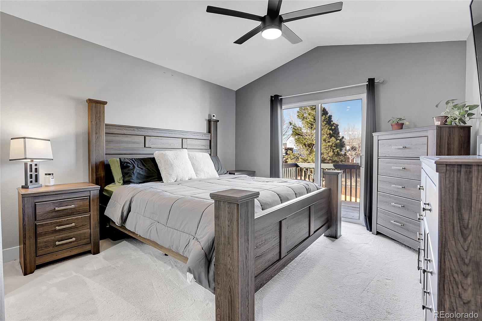 MLS Image #11 for 16271  blueleaf place,parker, Colorado