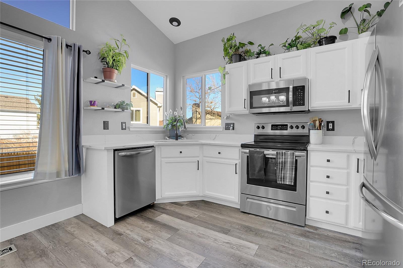 MLS Image #5 for 16271  blueleaf place,parker, Colorado