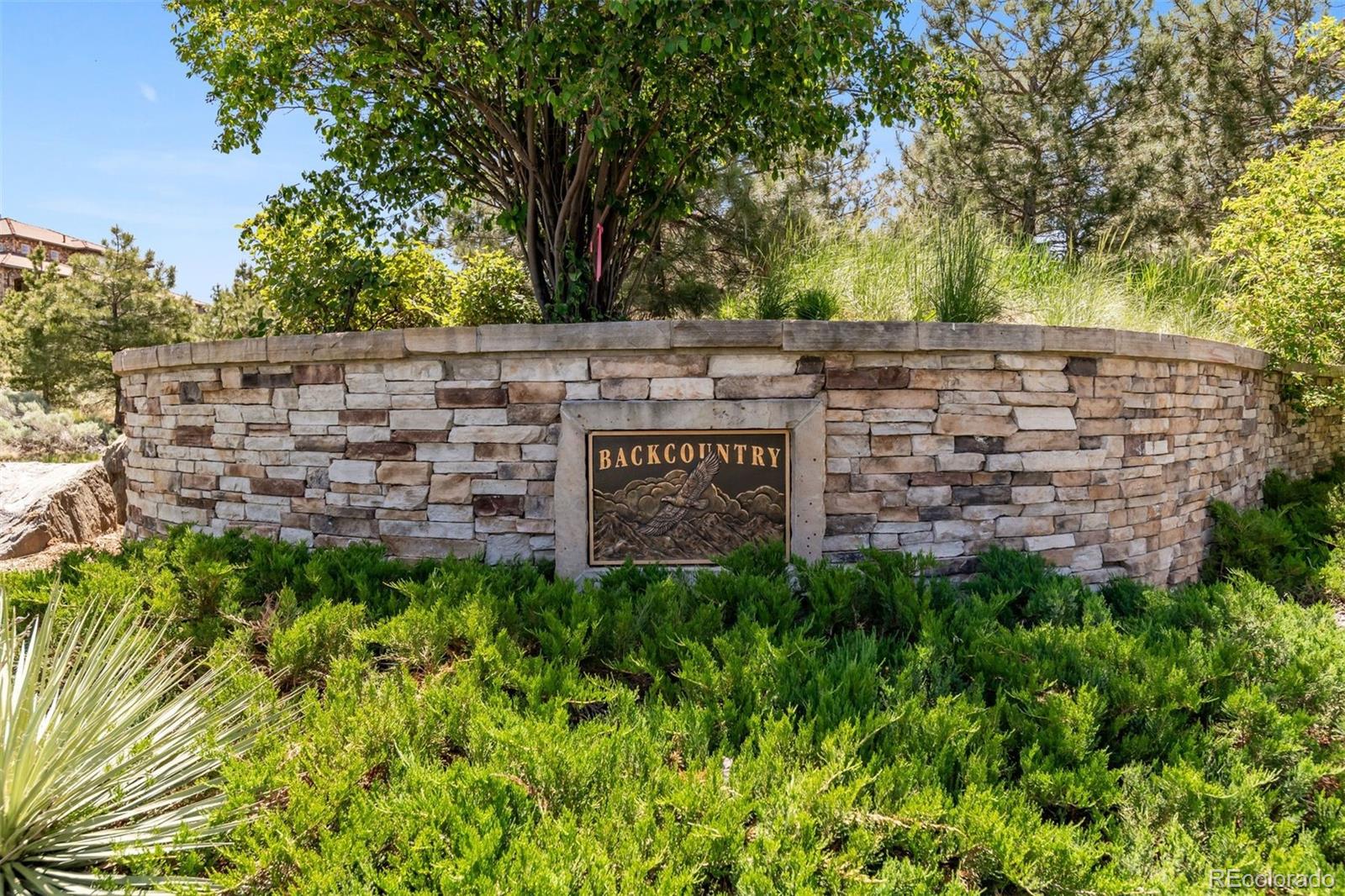 MLS Image #29 for 655  tiger lily way,highlands ranch, Colorado