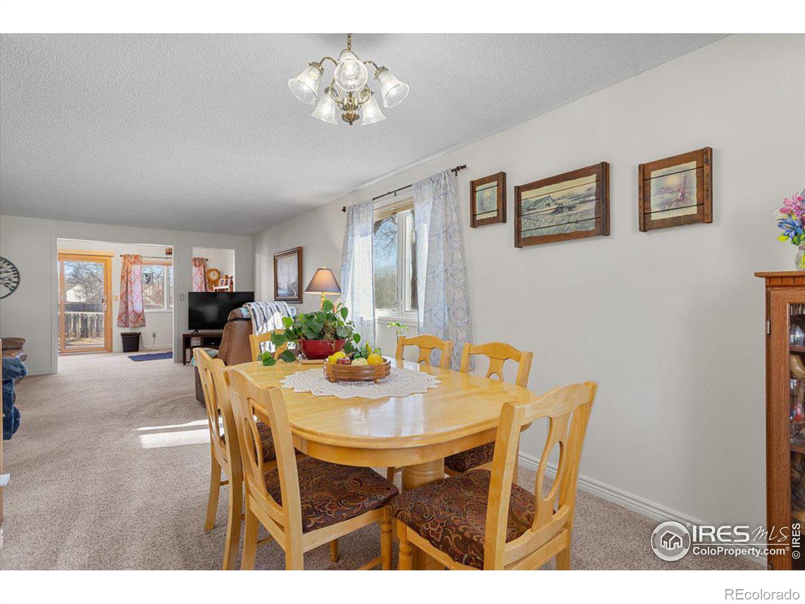 MLS Image #10 for 1100 n taft avenue,loveland, Colorado