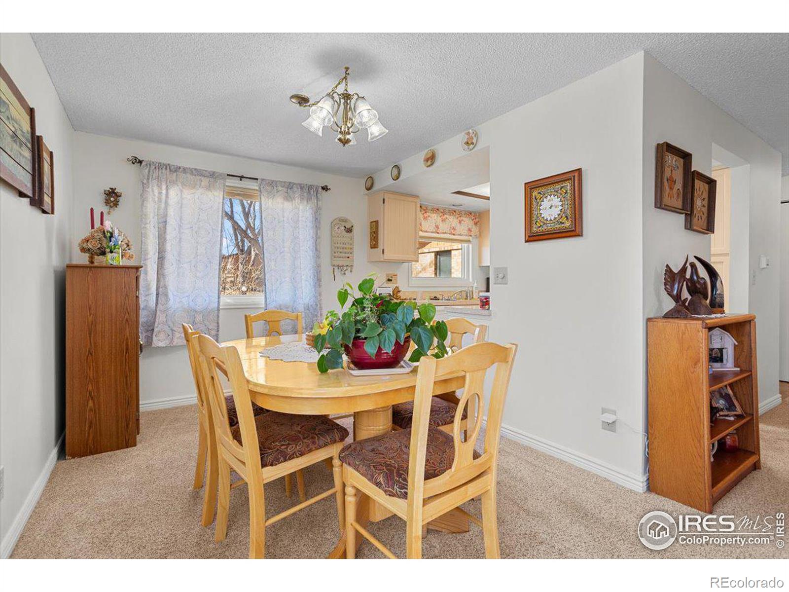 MLS Image #13 for 1100 n taft avenue,loveland, Colorado