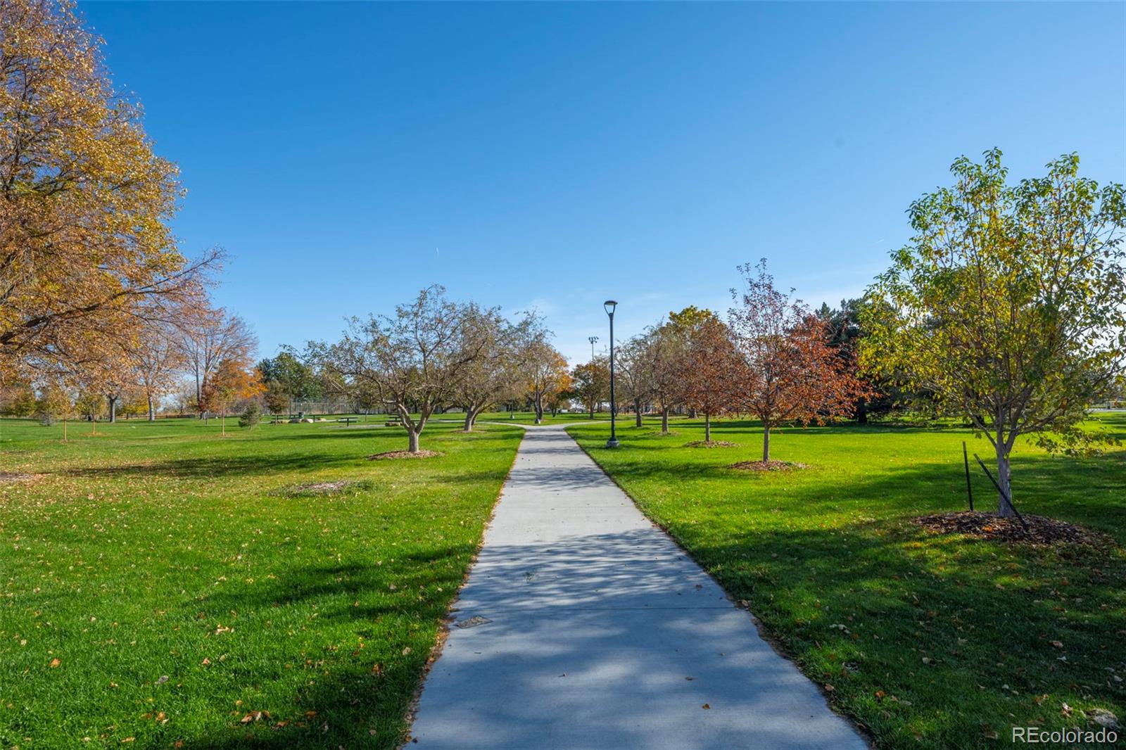 MLS Image #23 for 4311  del rio court,denver, Colorado