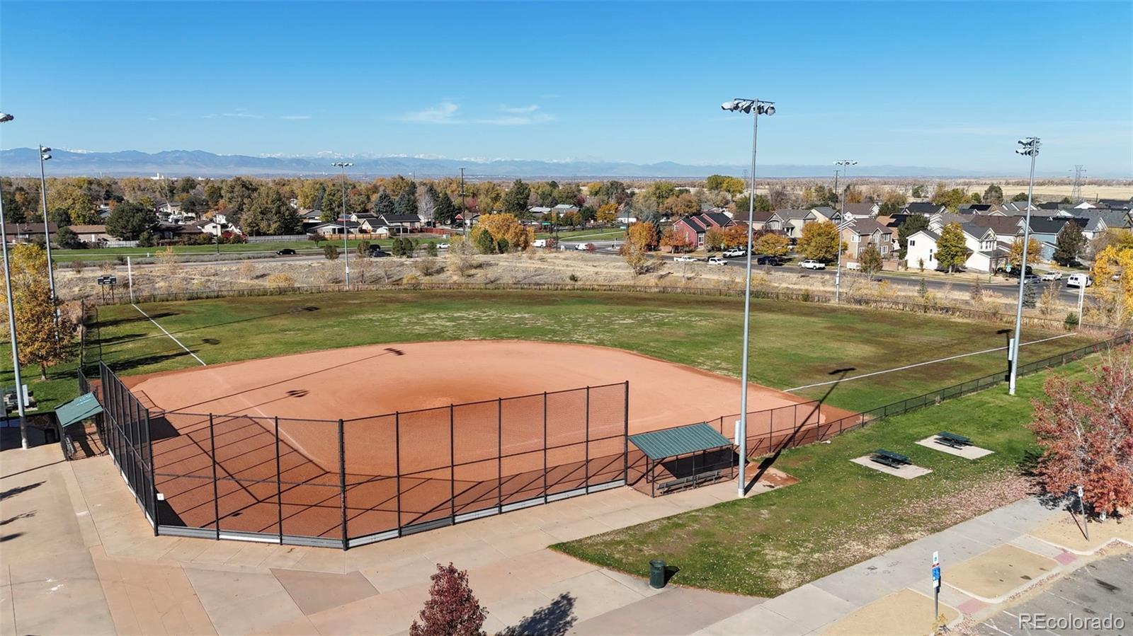 MLS Image #34 for 4311  del rio court,denver, Colorado