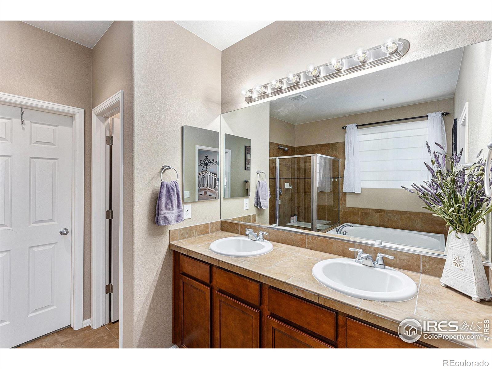 MLS Image #17 for 5965  sand cherry lane,timnath, Colorado