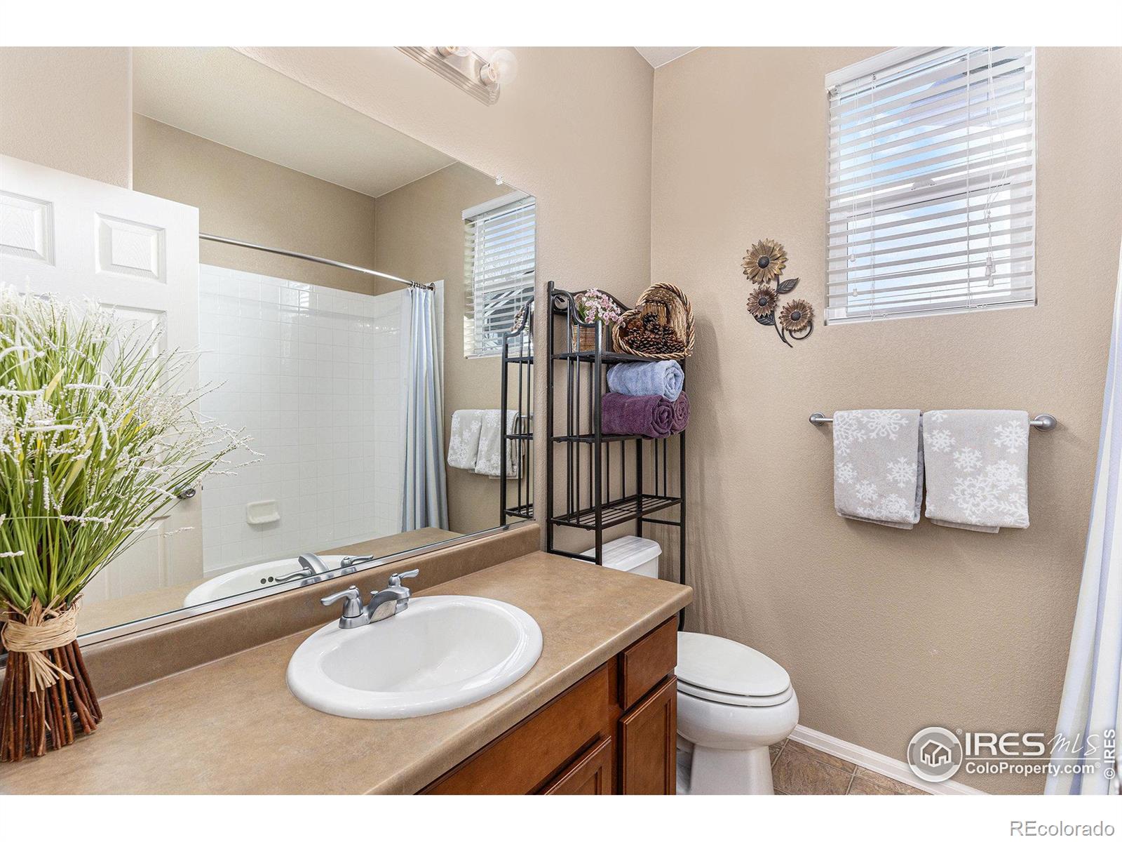 MLS Image #21 for 5965  sand cherry lane,timnath, Colorado