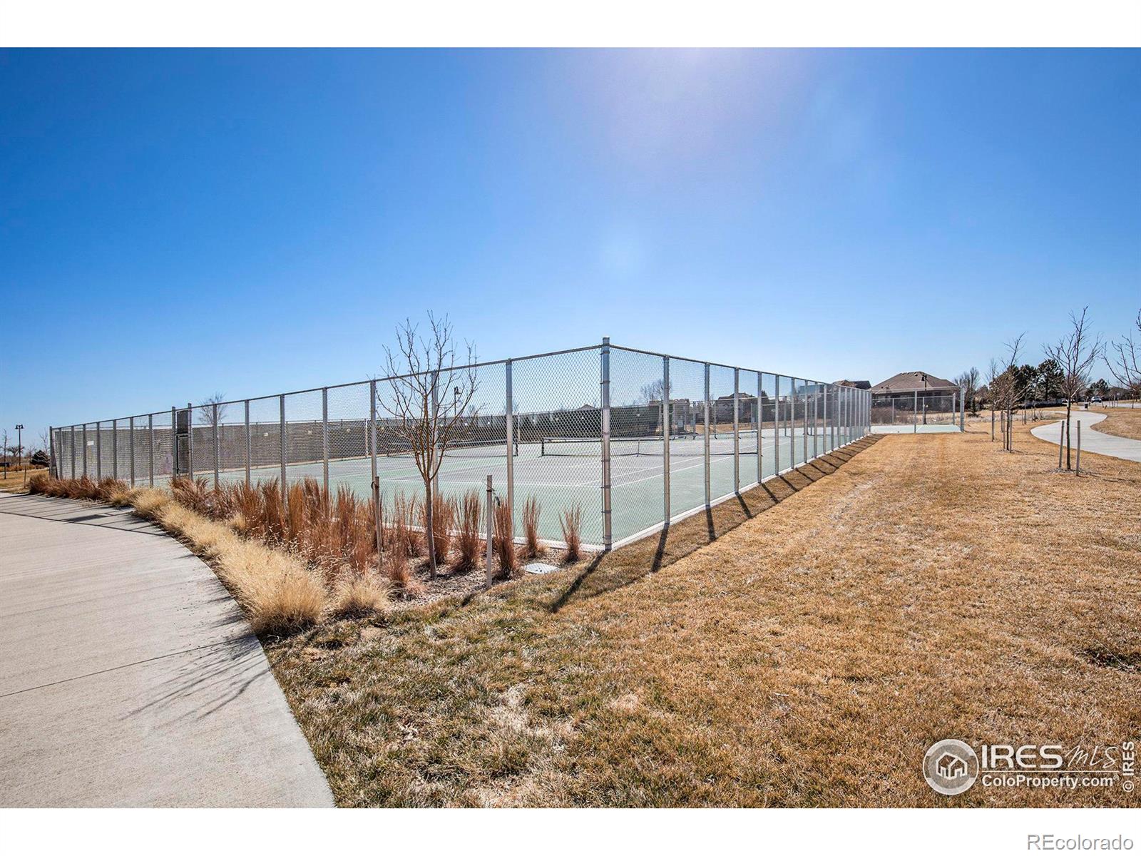 MLS Image #35 for 5965  sand cherry lane,timnath, Colorado