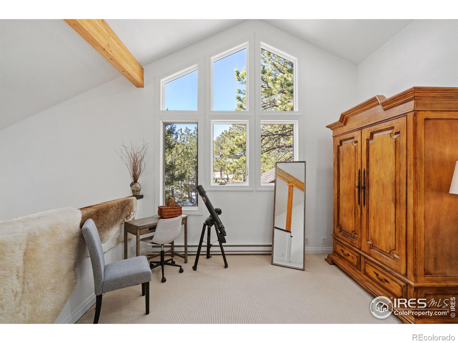 MLS Image #21 for 133  ponderosa court,red feather lakes, Colorado