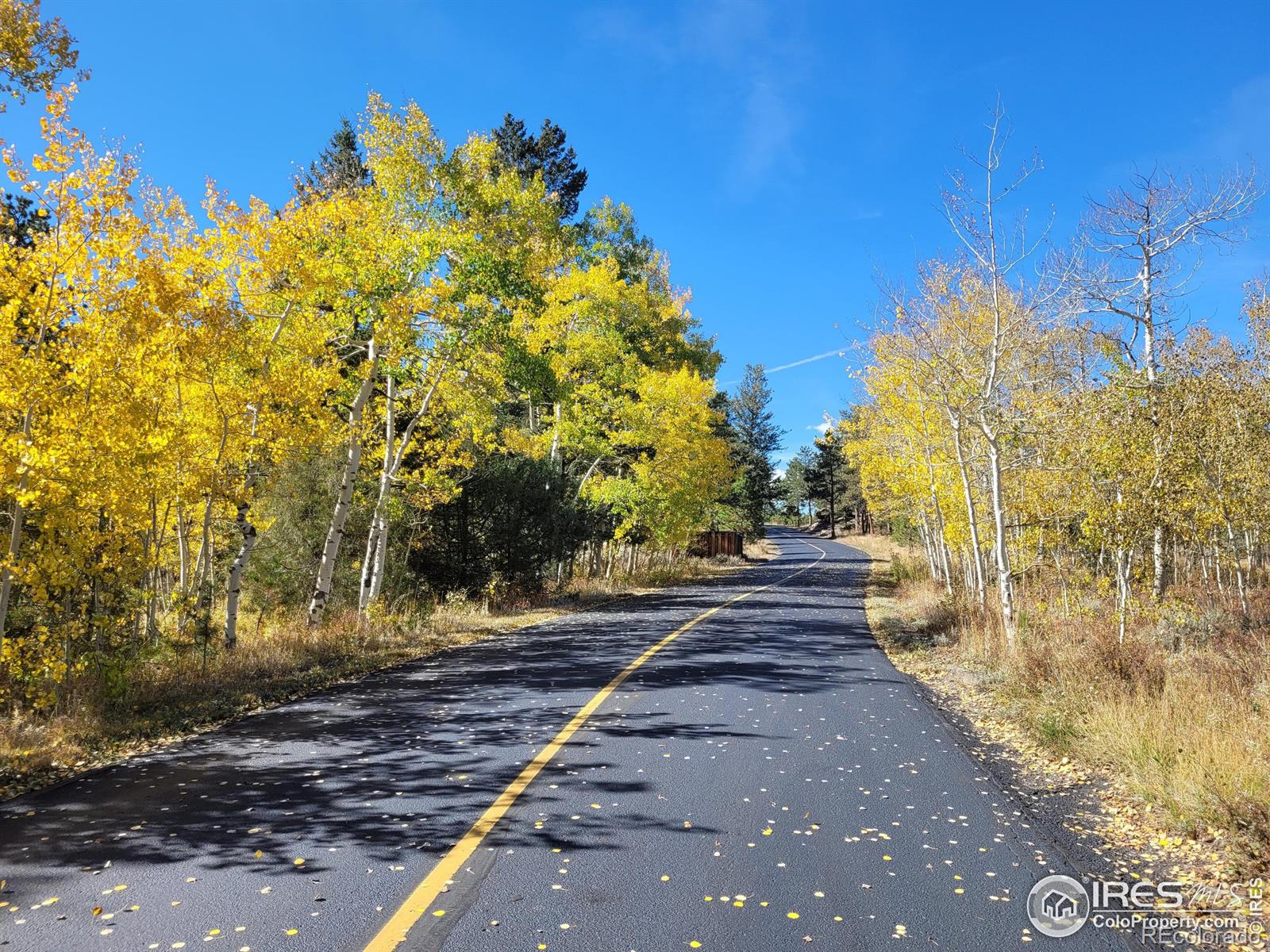 MLS Image #27 for 133  ponderosa court,red feather lakes, Colorado