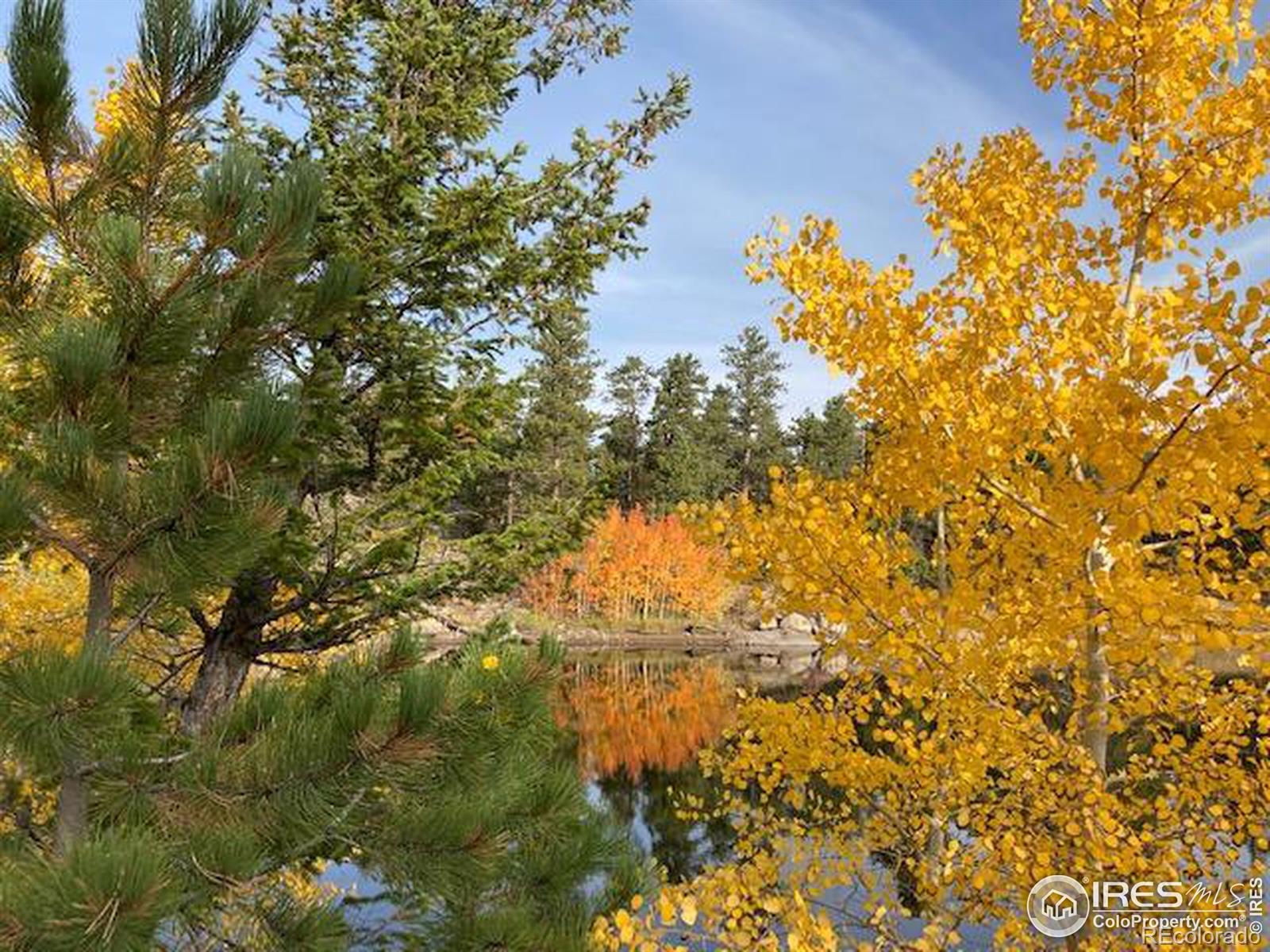 MLS Image #29 for 133  ponderosa court,red feather lakes, Colorado