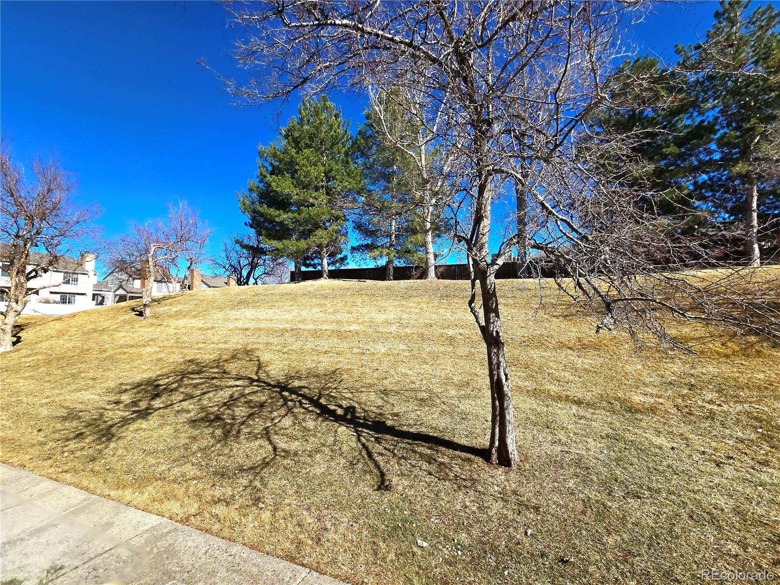 MLS Image #2 for 886  summer drive ,highlands ranch, Colorado