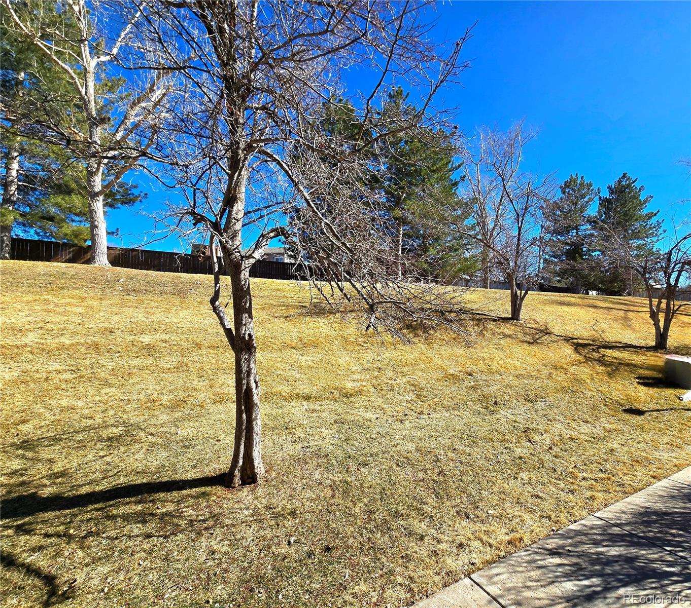 MLS Image #3 for 886  summer drive ,highlands ranch, Colorado