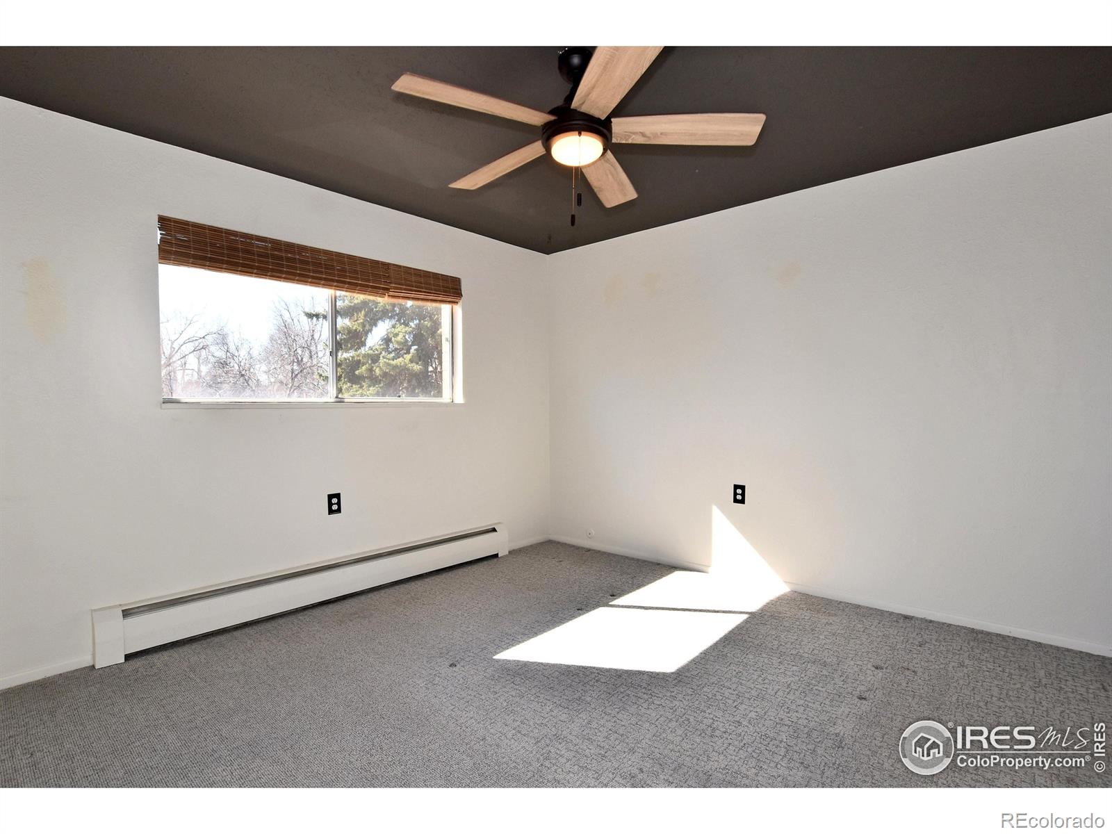 MLS Image #20 for 301  peterson street,fort collins, Colorado