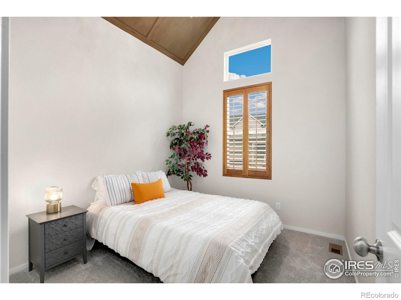 MLS Image #14 for 5018  leopold lane,timnath, Colorado