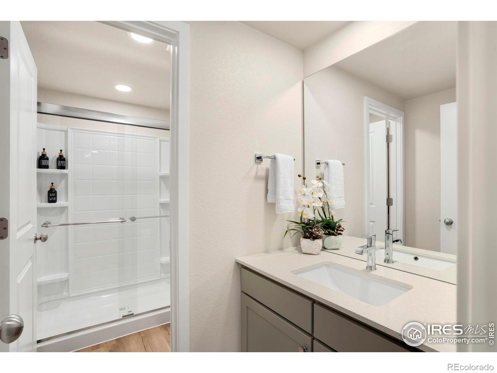 MLS Image #24 for 5018  leopold lane,timnath, Colorado