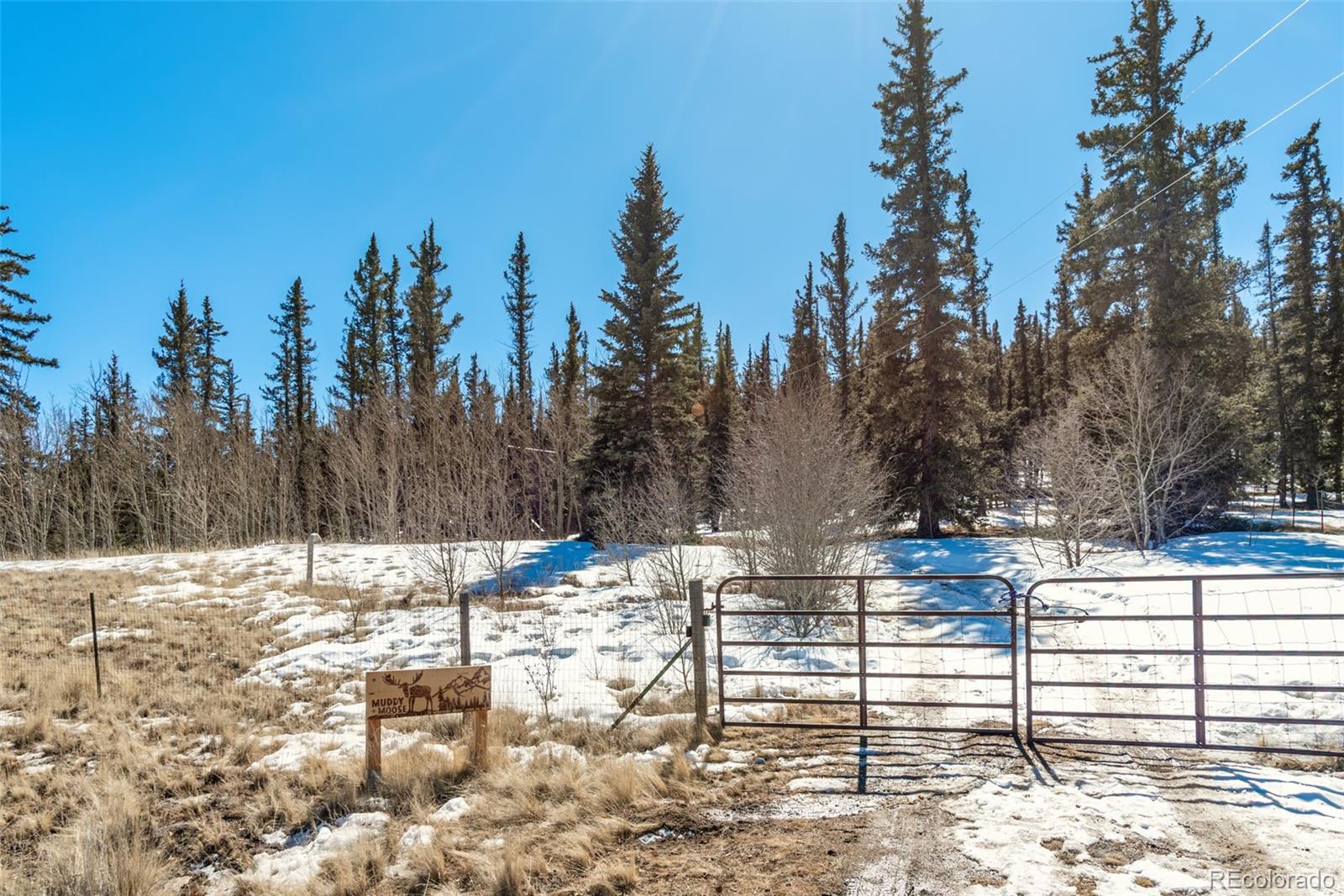 MLS Image #12 for 77  mcdowell drive,como, Colorado