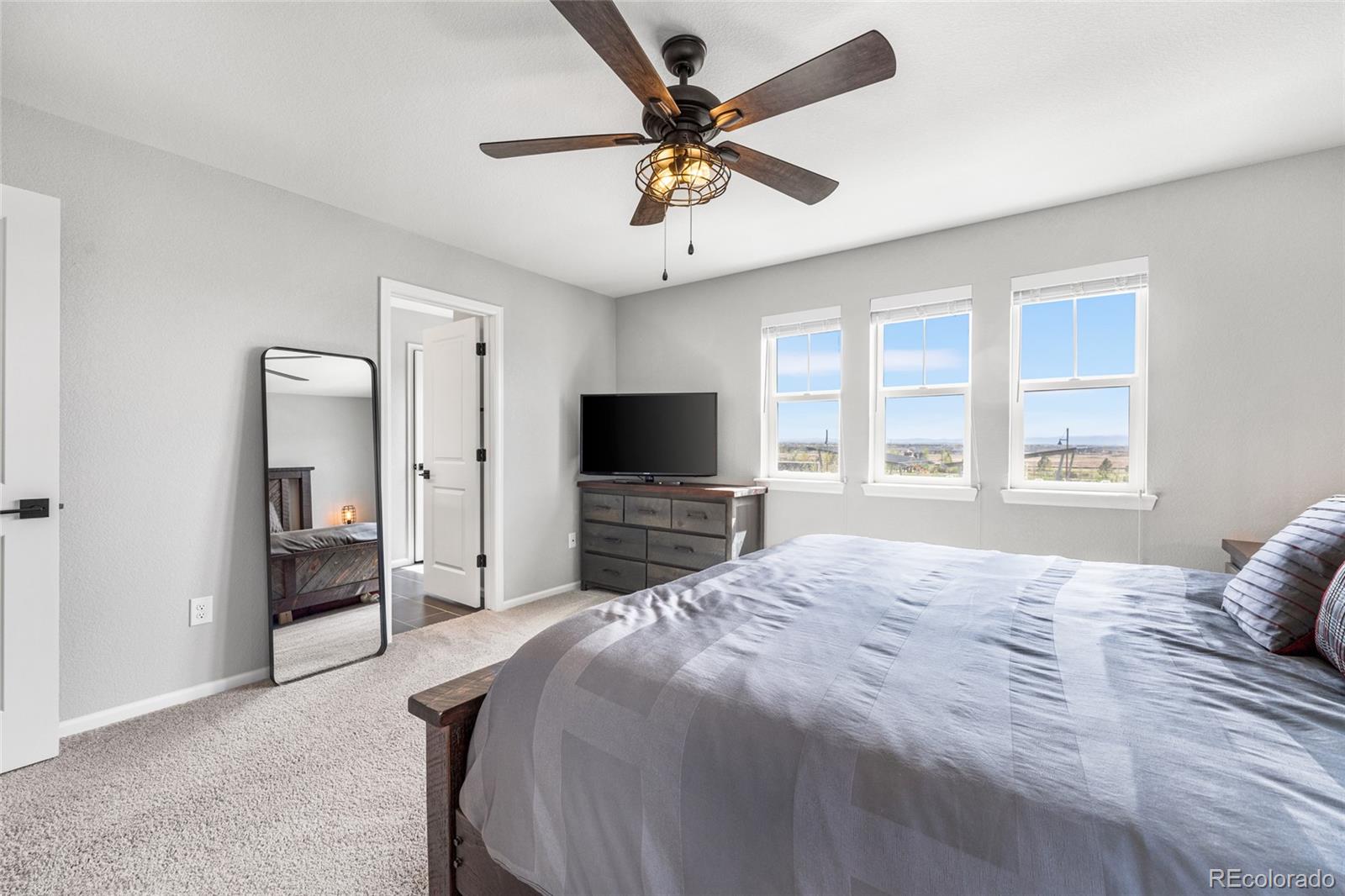 MLS Image #15 for 21413 e 59th place,aurora, Colorado