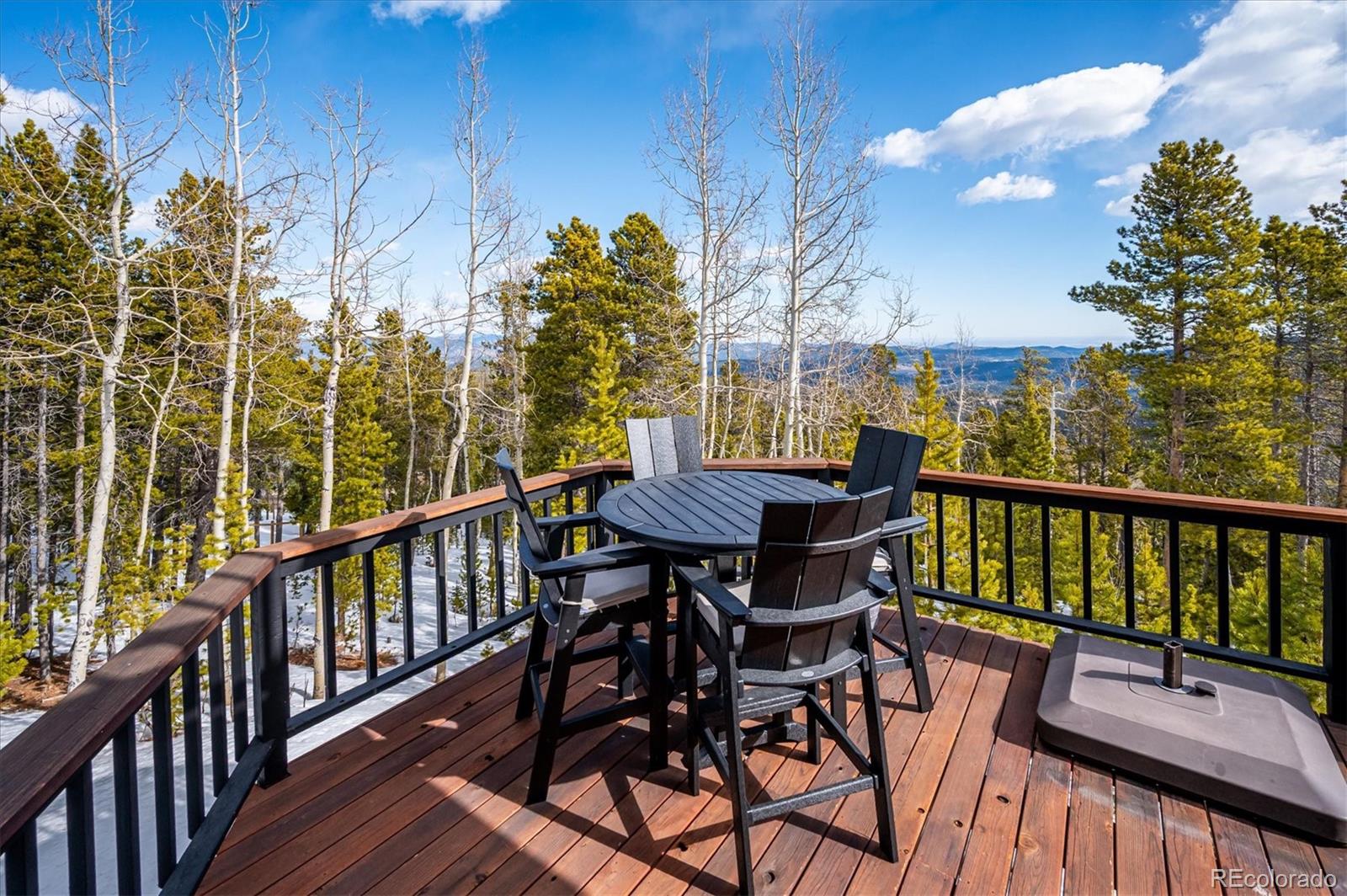 MLS Image #12 for 10756  timothys drive,conifer, Colorado