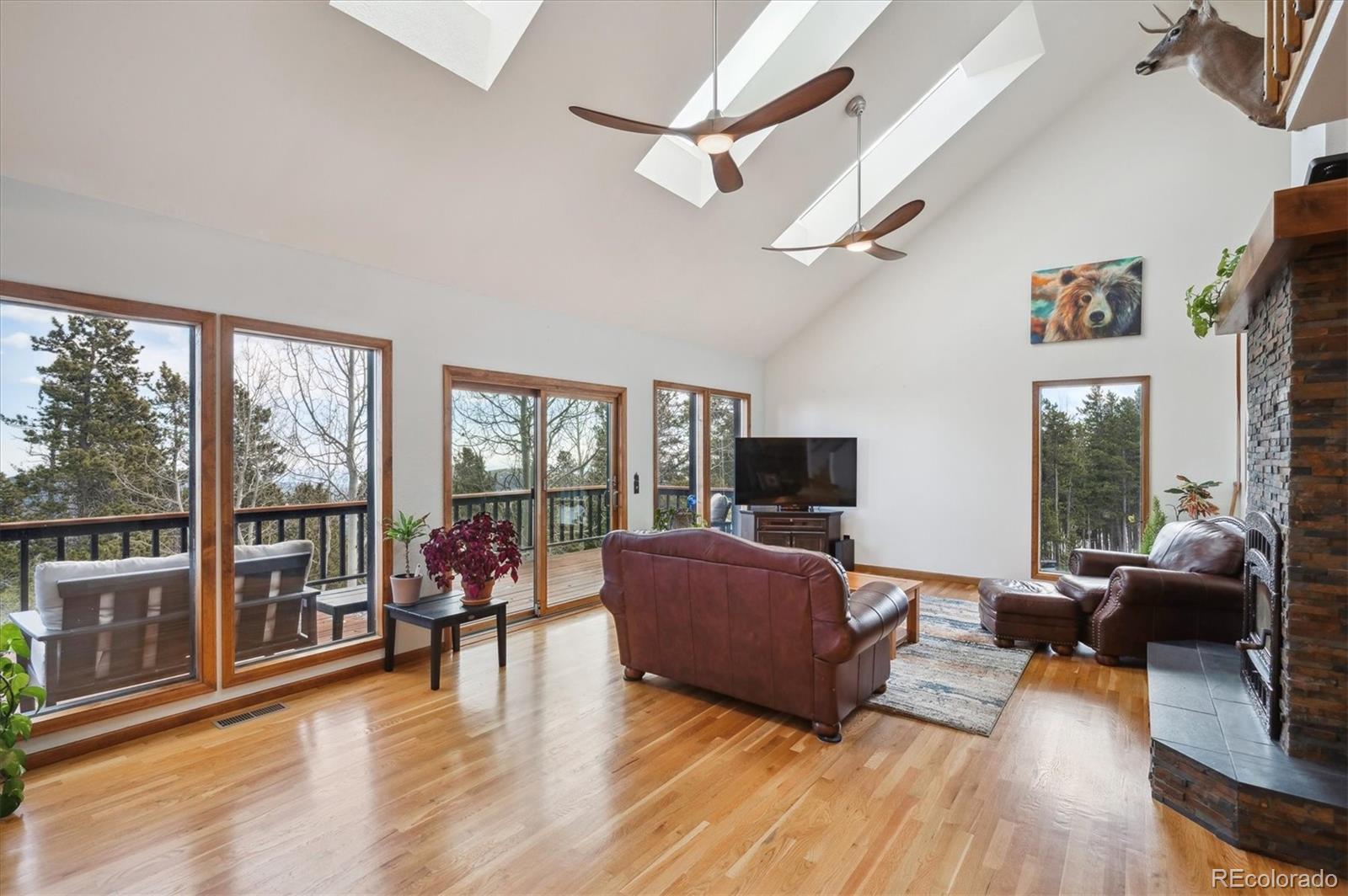 MLS Image #5 for 10756  timothys drive,conifer, Colorado