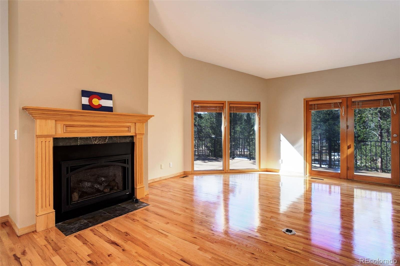 MLS Image #13 for 9299  william cody drive,evergreen, Colorado