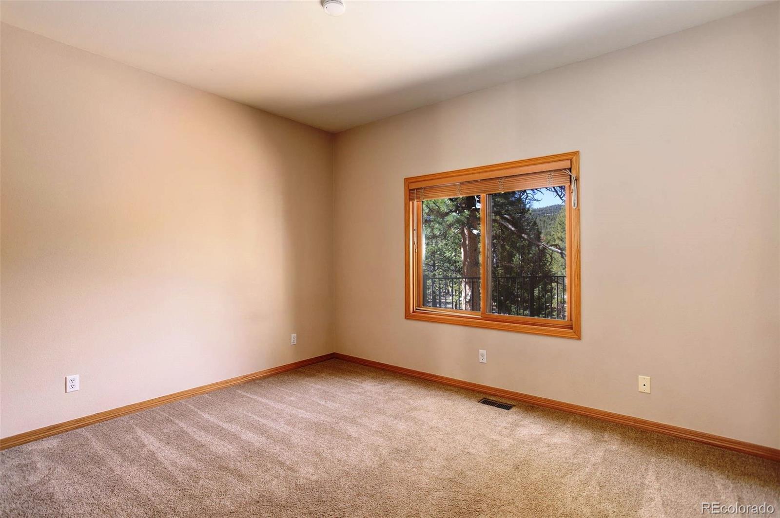 MLS Image #31 for 9299  william cody drive,evergreen, Colorado