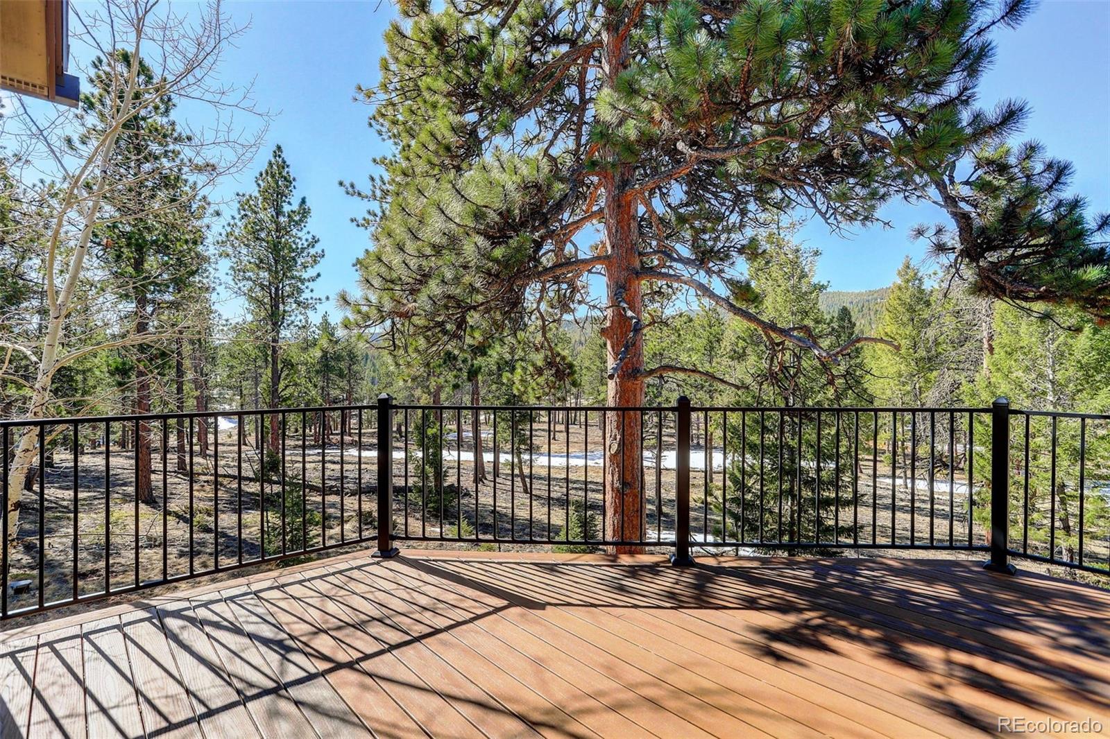 MLS Image #40 for 9299  william cody drive,evergreen, Colorado