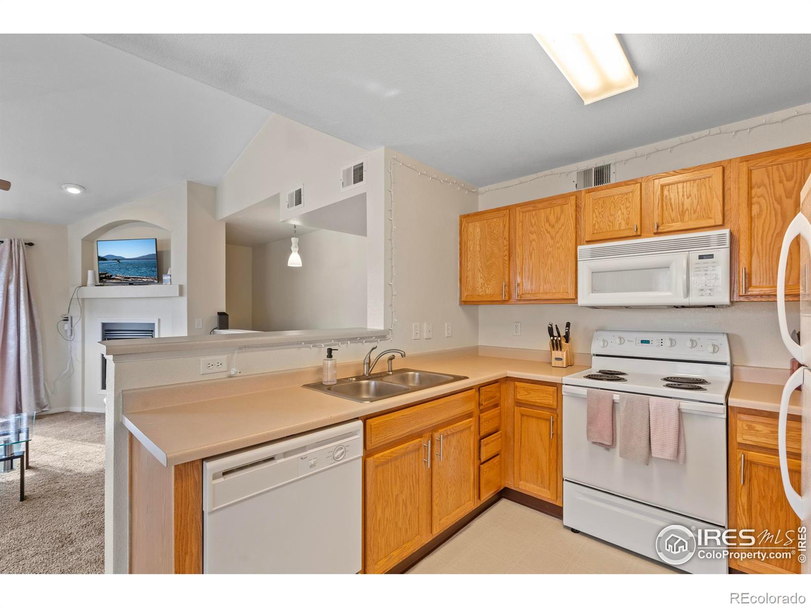 MLS Image #10 for 3002 w elizabeth street,fort collins, Colorado