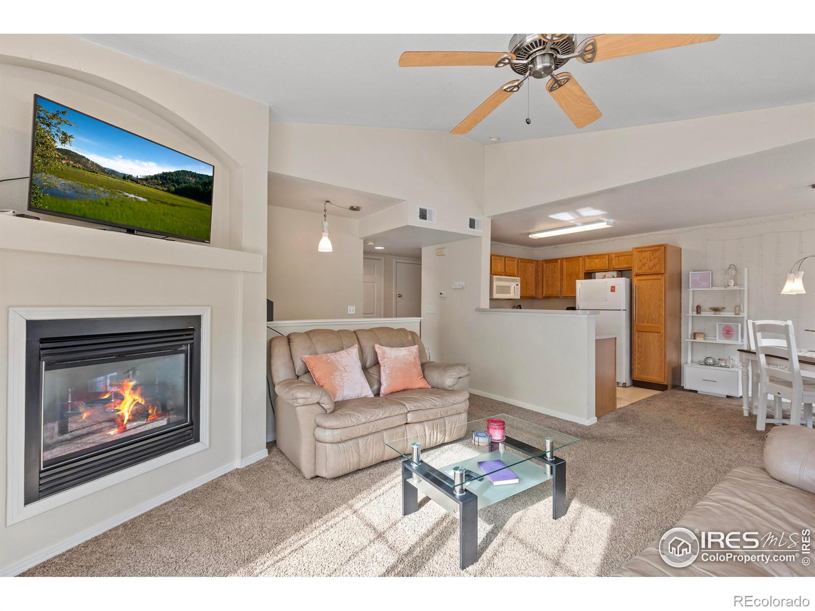 MLS Image #4 for 3002 w elizabeth street,fort collins, Colorado