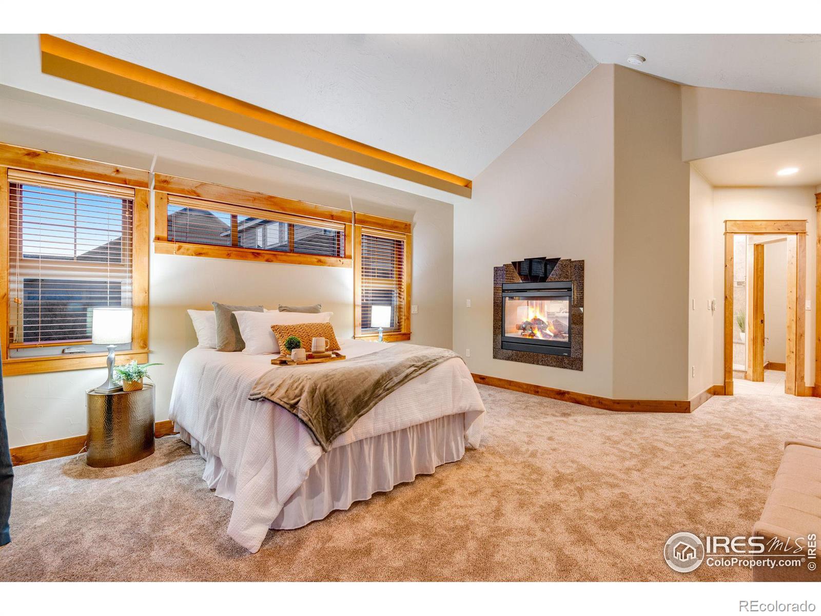 MLS Image #19 for 7041  aladar drive,windsor, Colorado