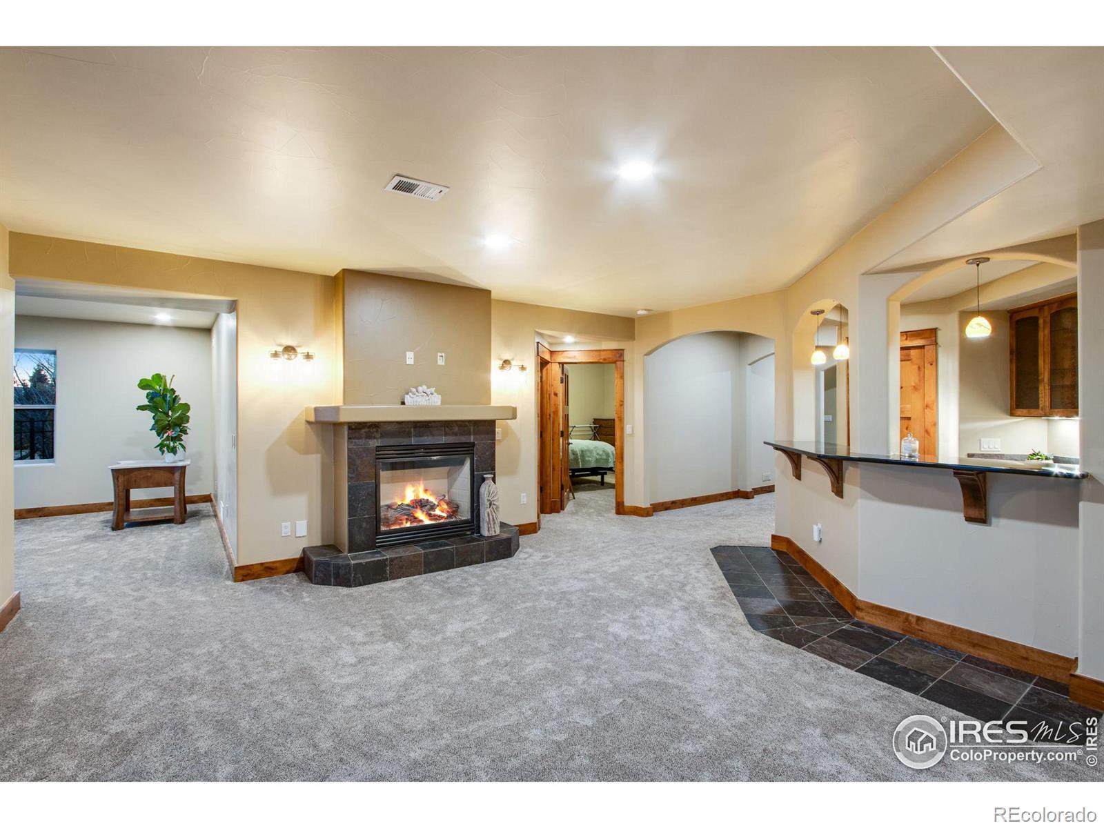 MLS Image #24 for 7041  aladar drive,windsor, Colorado