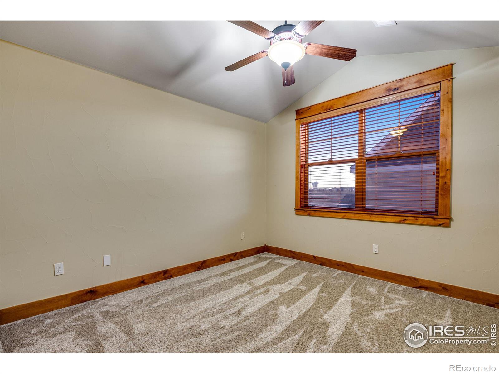 MLS Image #34 for 7041  aladar drive,windsor, Colorado