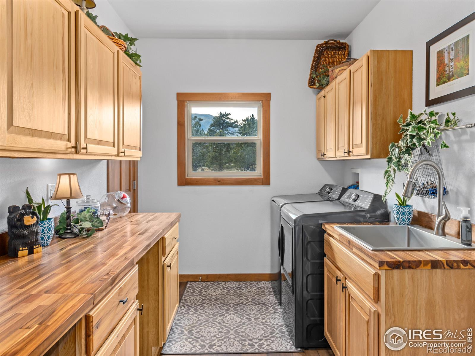 MLS Image #38 for 1981 n morris court,estes park, Colorado