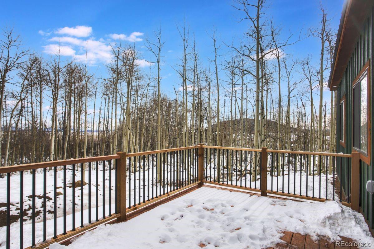 MLS Image #24 for 3538  high creek road,fairplay, Colorado