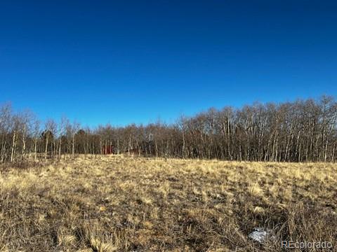 MLS Image #26 for 3538  high creek road,fairplay, Colorado