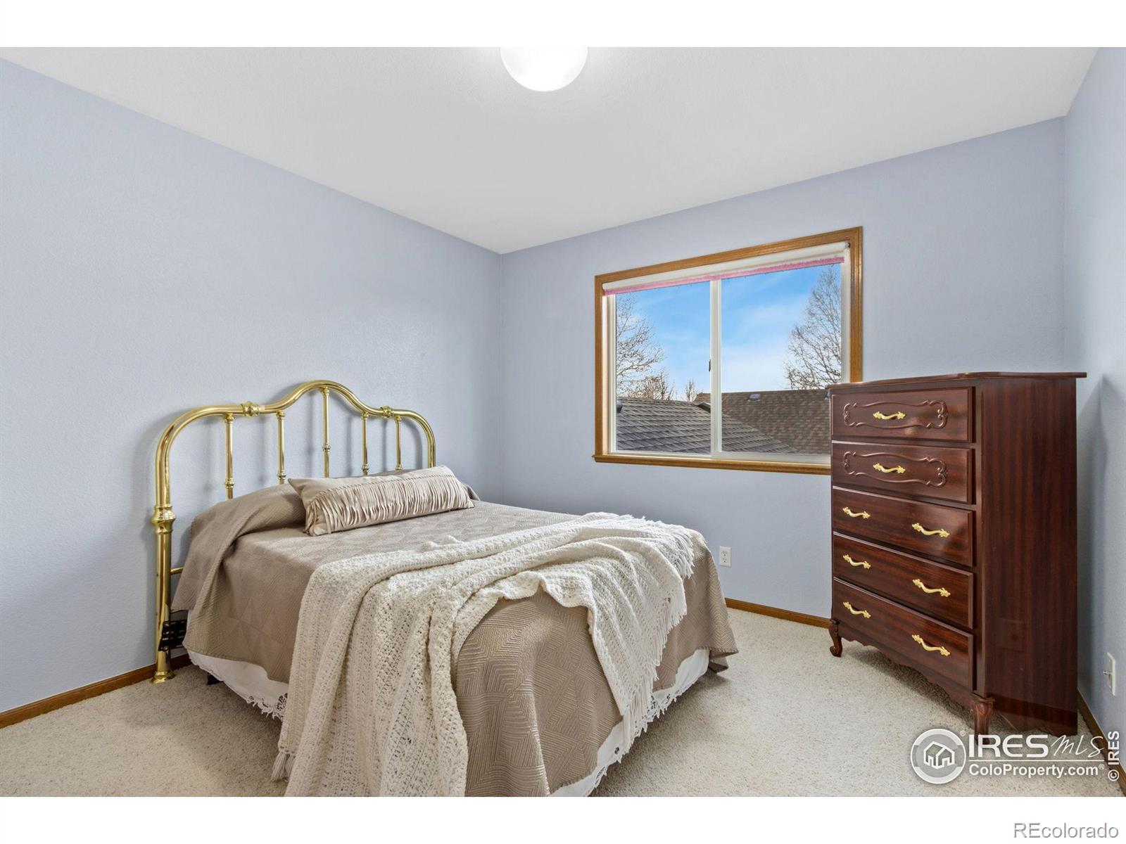 MLS Image #24 for 2240  buckingham circle,loveland, Colorado