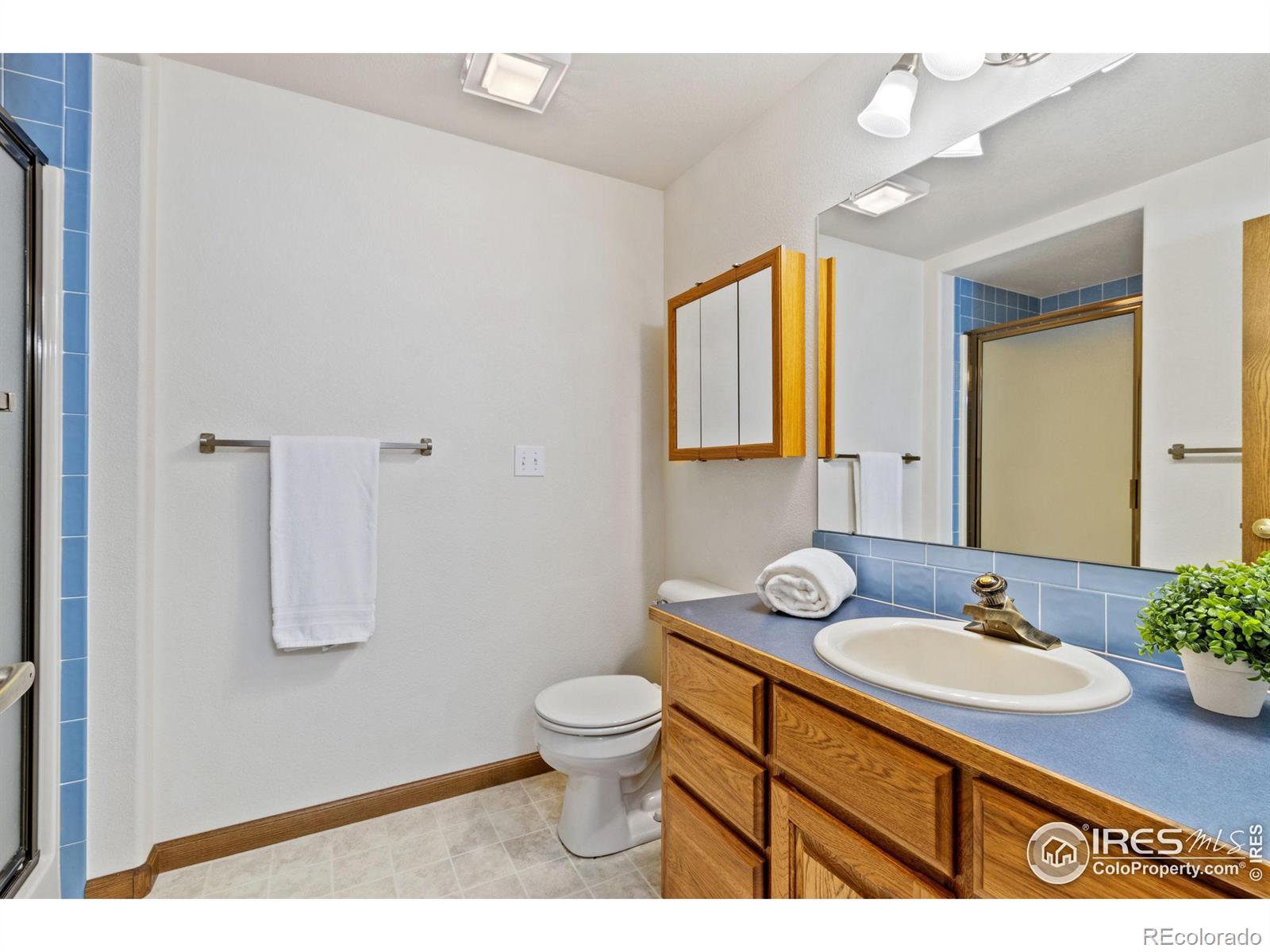 MLS Image #28 for 2240  buckingham circle,loveland, Colorado