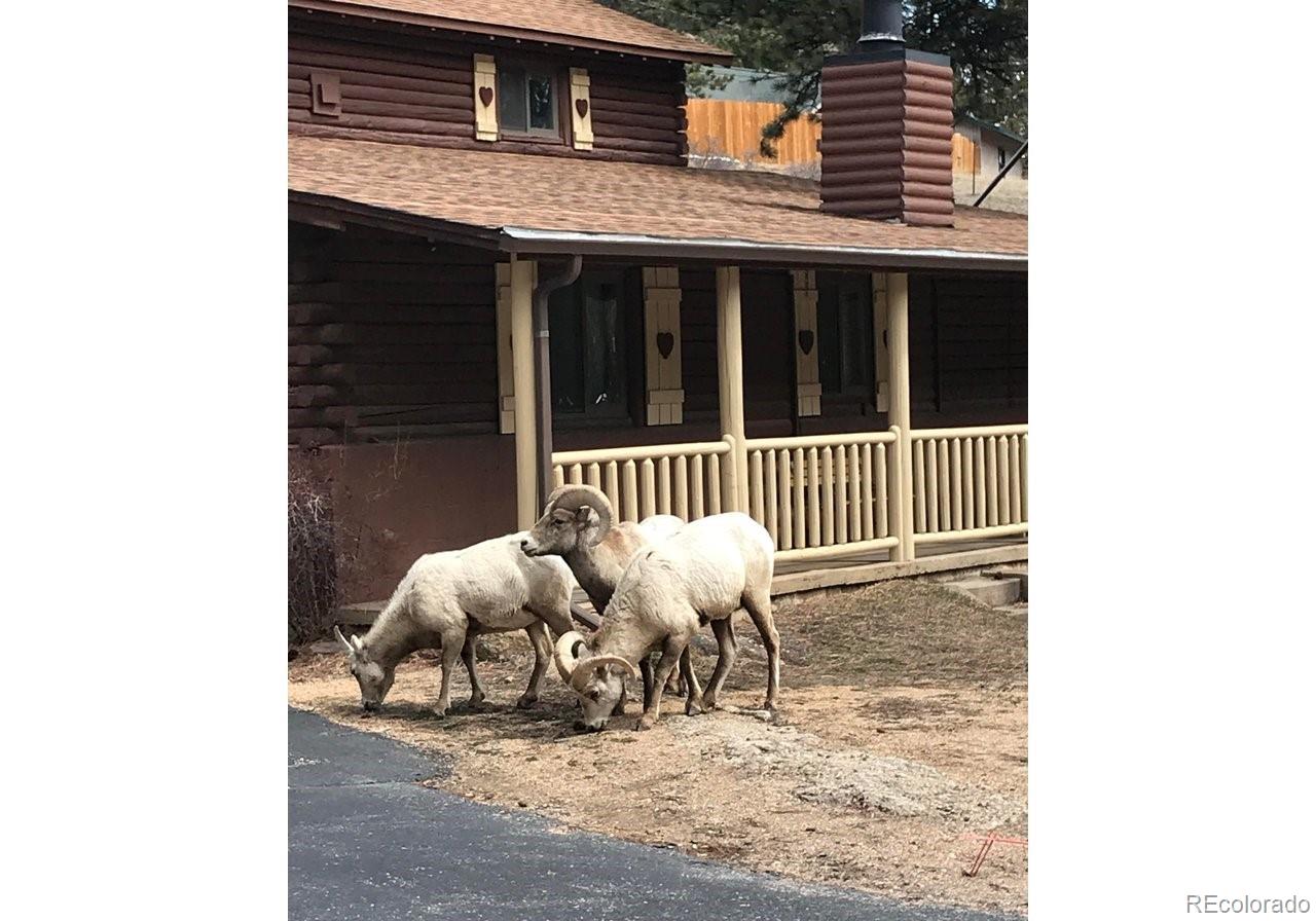 MLS Image #33 for 2760  fall river road,estes park, Colorado