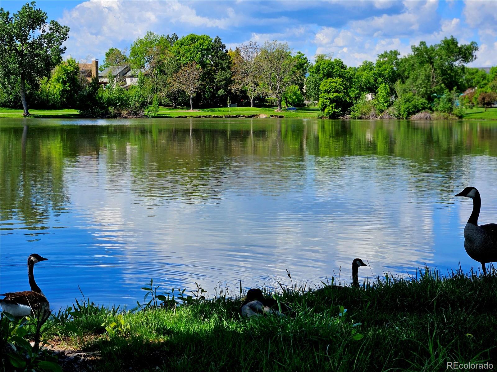 MLS Image #47 for 6333  zang court,arvada, Colorado