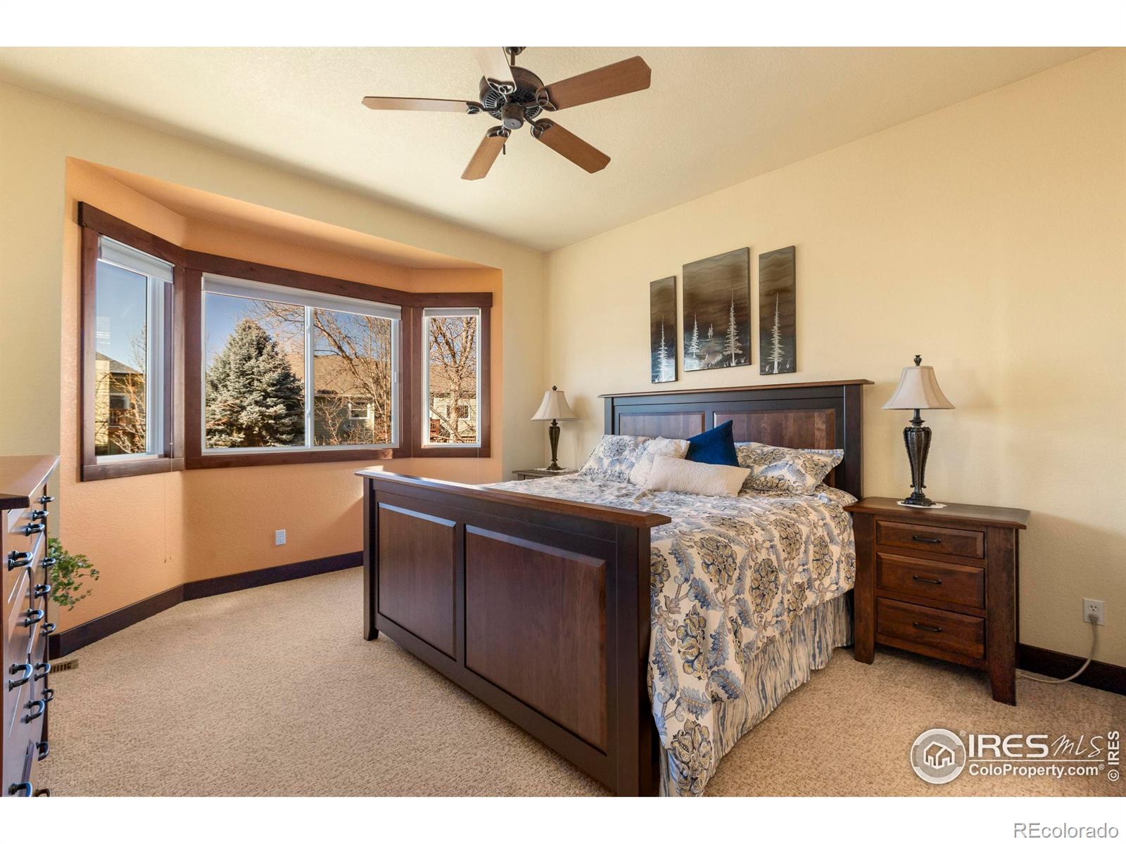 MLS Image #15 for 1212  hawkeye court,fort collins, Colorado