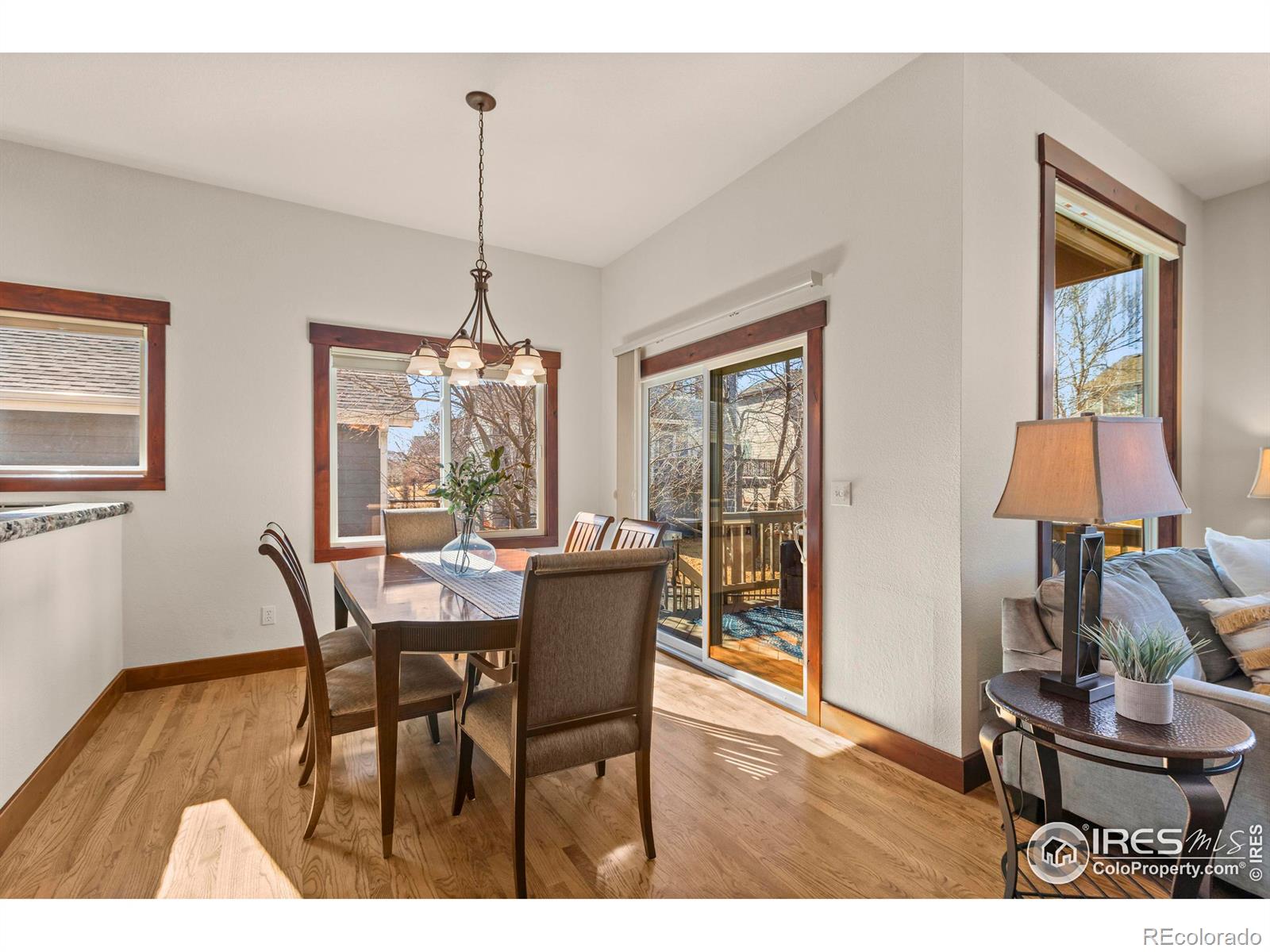 MLS Image #9 for 1212  hawkeye court,fort collins, Colorado