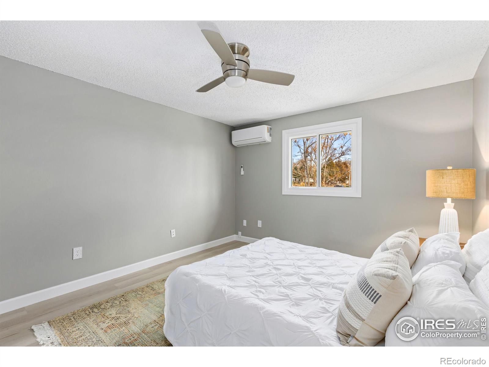 MLS Image #12 for 159  judson street,longmont, Colorado