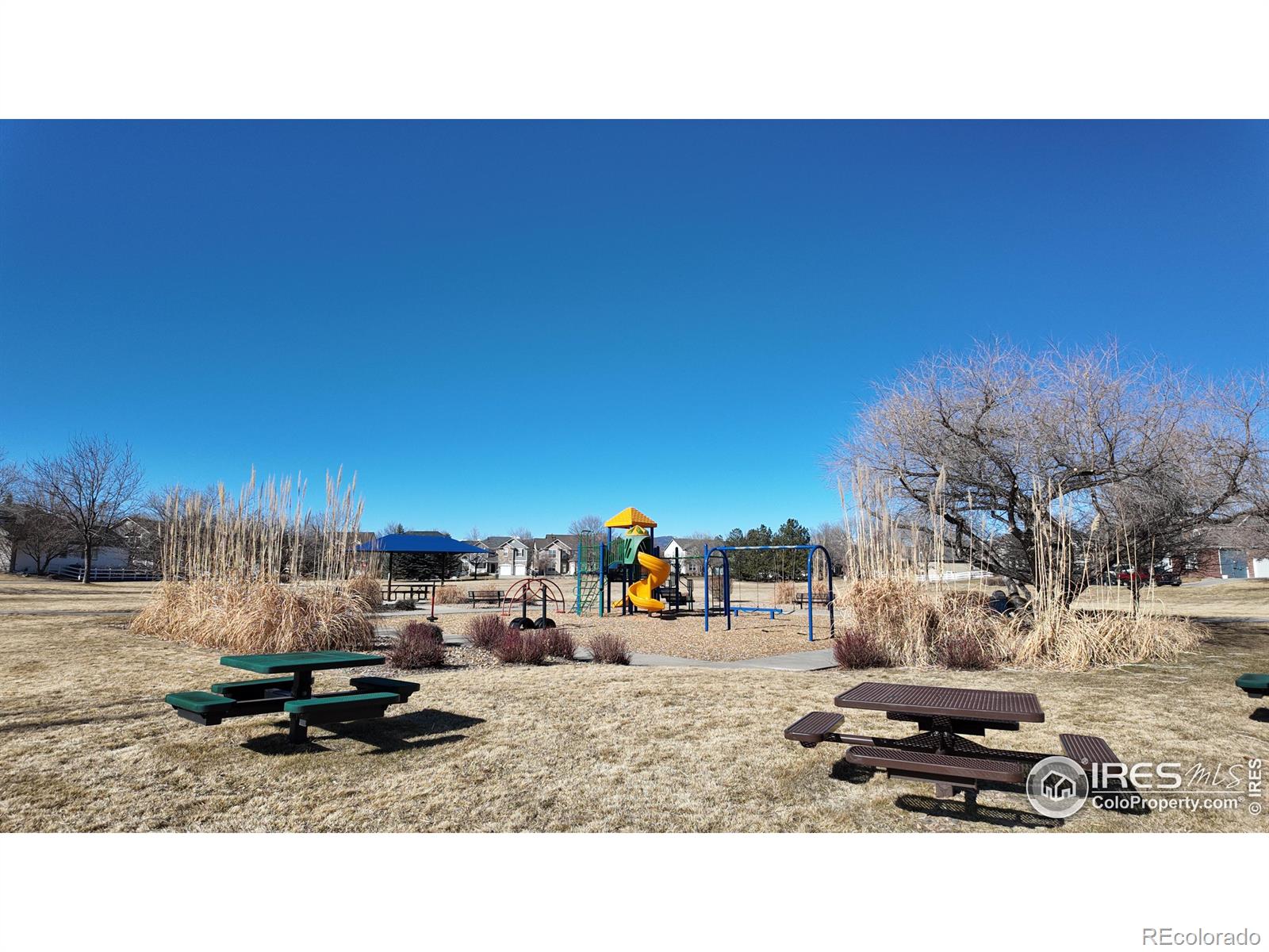 MLS Image #34 for 4315  bella vista drive,longmont, Colorado