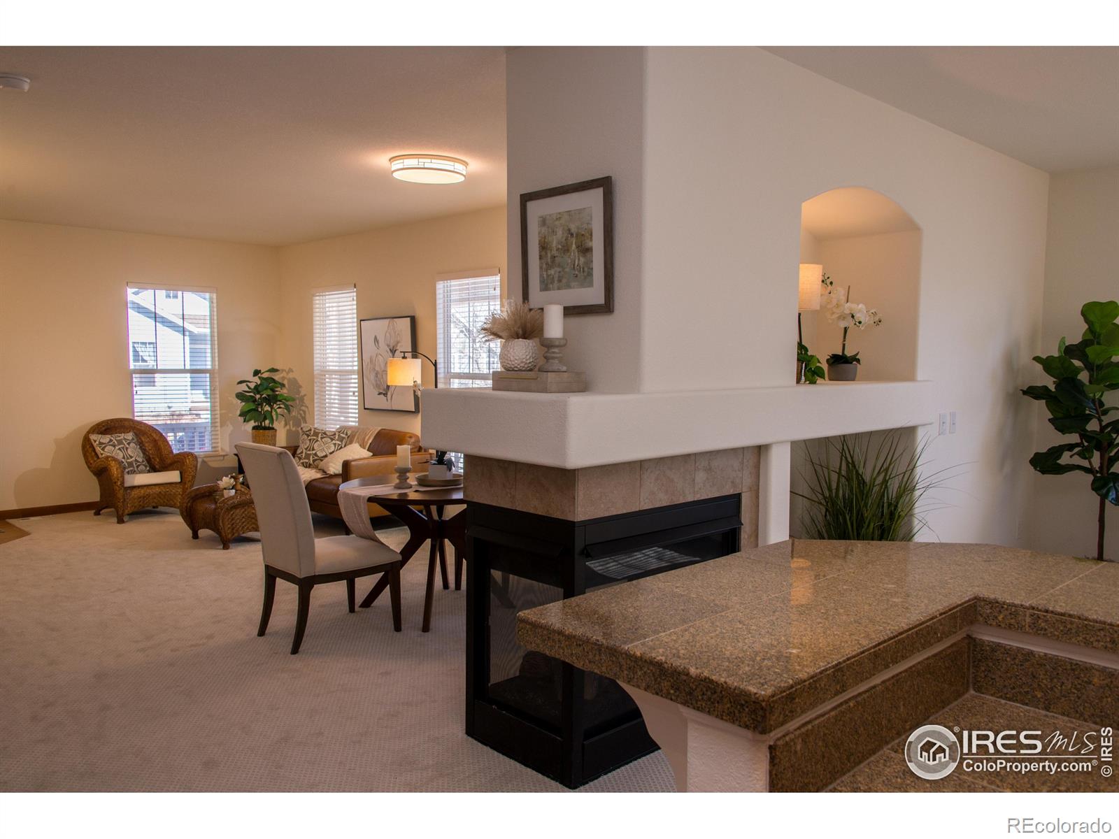 MLS Image #9 for 4315  bella vista drive,longmont, Colorado