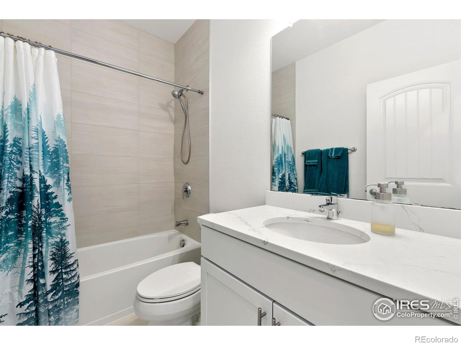 MLS Image #16 for 4900  brule drive,timnath, Colorado