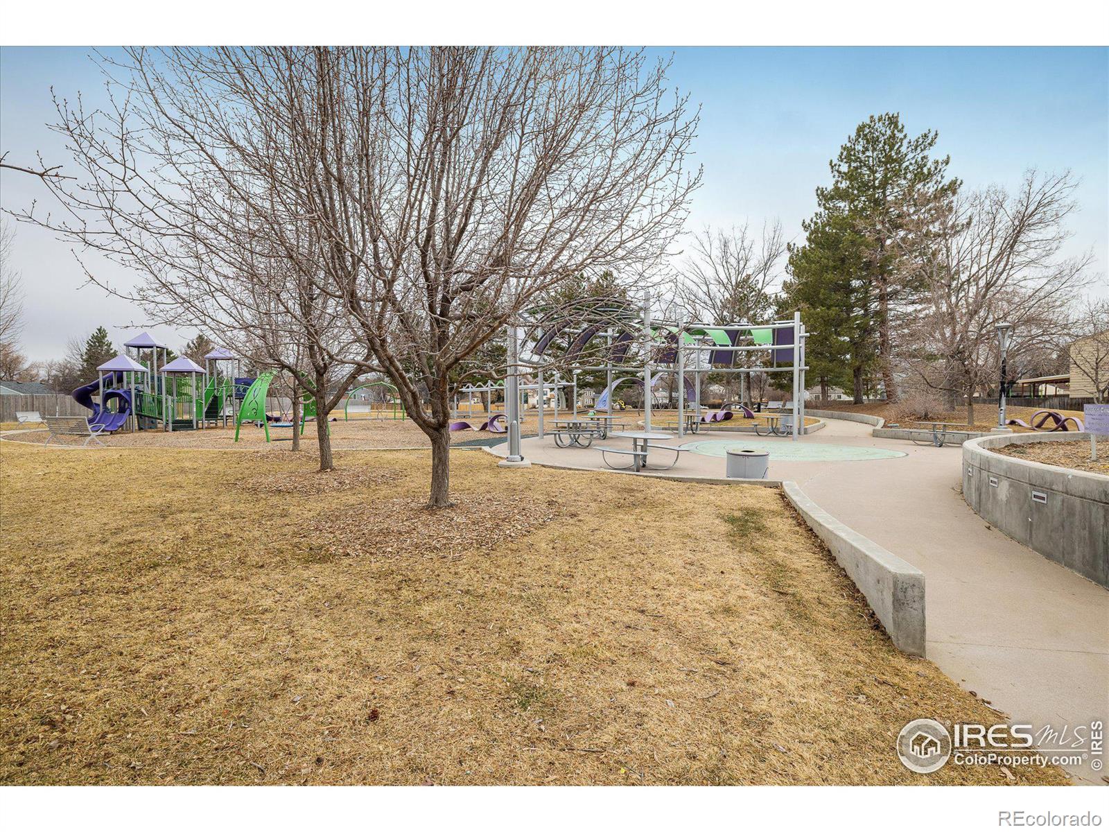 MLS Image #25 for 10792  moore street,broomfield, Colorado