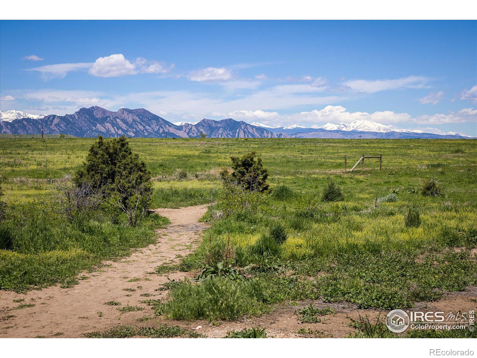 MLS Image #31 for 10792  moore street,broomfield, Colorado